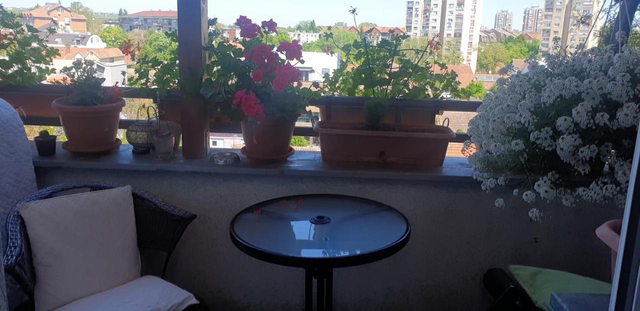 Apartmani Emerald Dream Novi Sad Luaran gambar