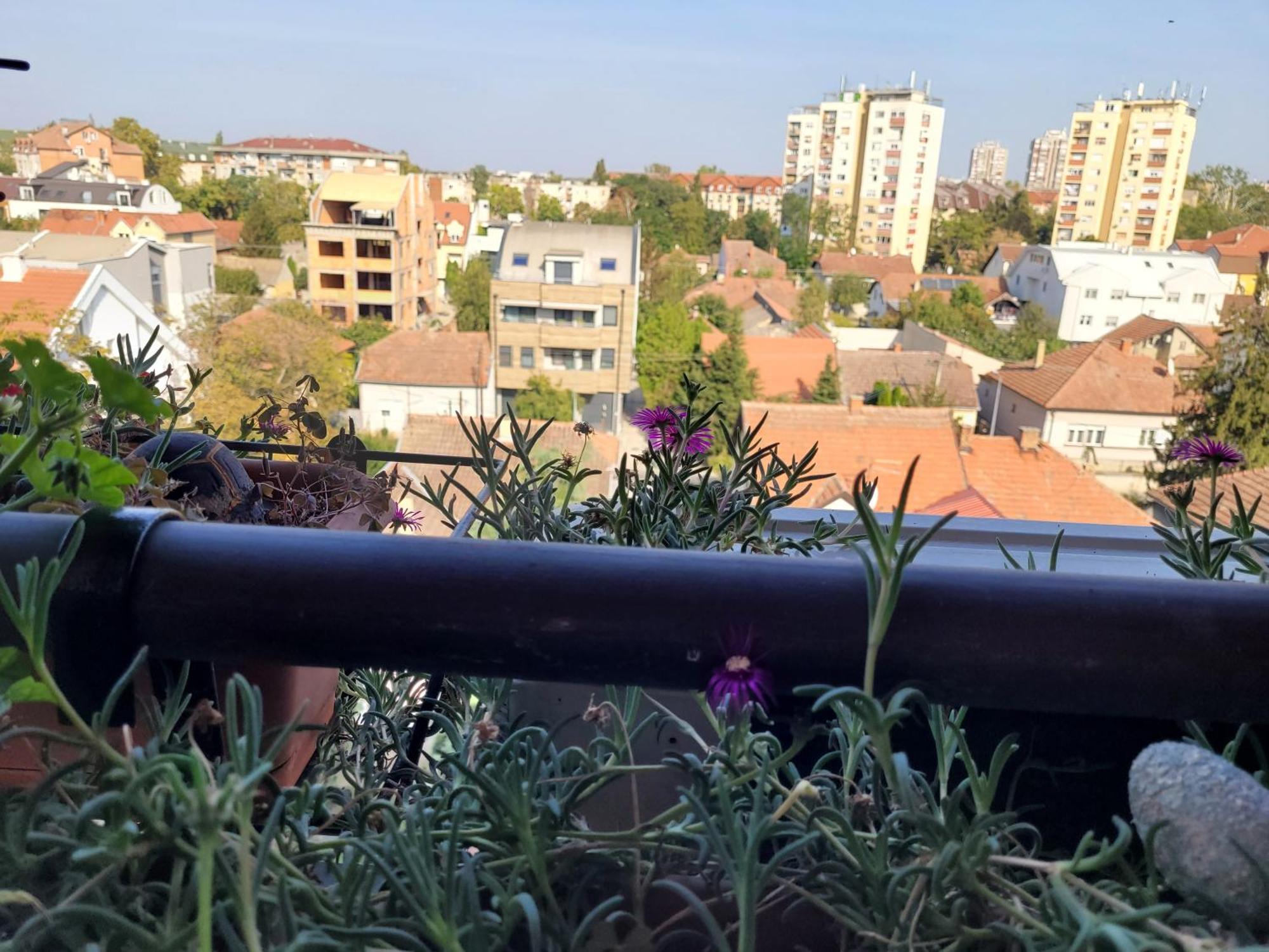 Apartmani Emerald Dream Novi Sad Luaran gambar